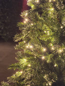 ÁRVORE PINHEIRO SINCELO 300 LEDS BICOLOR 860 GALHOS 2,10CM BIVOLT